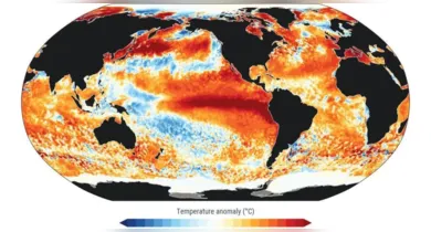 Imagem ilustrativa da notícia: Super El Niño pode deixar Pará mais seco e quente; veja regiões mais afetadas