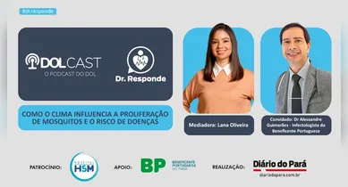 Imagem ilustrativa da notícia: Como o clima influencia a proliferação de mosquitos e o risco de doenças