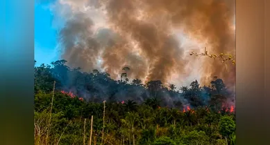 Imagem ilustrativa da notícia: Incêndio atinge Terra Indígena no Pará e ameaça aldeias