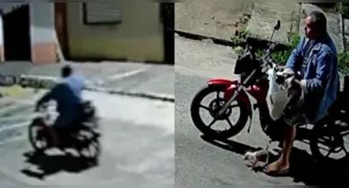 Imagem ilustrativa da notícia: Câmera registra abandono de filhotes de cachorro no Tenoné, em Belém
