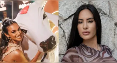 Imagem ilustrativa da notícia: Fãs do Boi Caprichoso pedem desculpa publicamente a Alane Dias