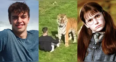 Imagem ilustrativa da notícia: Quem era o ex-ator mirim morto por tigre em zoológico na Inglaterra