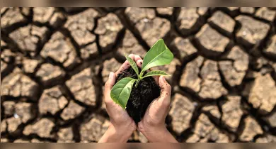 Imagem ilustrativa da notícia: Prêmio de R$ 20 mil para pesquisas sobre clima vão até 2 de outubro