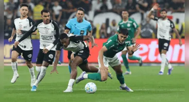 Imagem ilustrativa da notícia: Brasileirão: chances de Palmeiras campeão aumentam e de Flamengo diminuem