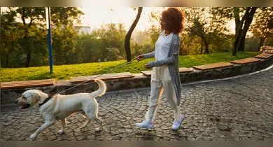 Imagem ilustrativa da notícia: Asfalto quente pode queimar as patas do cachorro; como proteger seu pet?