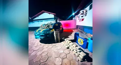 Imagem ilustrativa da notícia: Vídeo: PRF apreende 135 kg de skunk na BR-230 no Pará