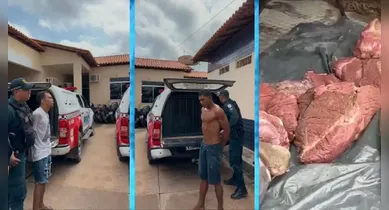Imagem ilustrativa da notícia: Trio furta e mata touro de R$ 18 mil para vender carne