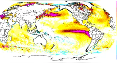 Imagem ilustrativa da notícia: El Niño no Pará: especialista explica riscos e defende preparação antes da crise