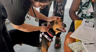 Imagem ilustrativa da notícia: Ação oferece serviços gratuitos para cães e gatos no Jurunas