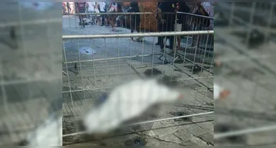 Imagem ilustrativa da notícia: Travesti é esfaqueada e morre após pedir socorro na Praça da República