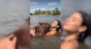 Imagem ilustrativa da notícia: Influencer toma banho com capivara no Pará e se expõe a doença fatal