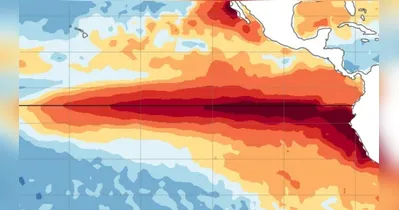 NOAA identificou mudanças atmosféricas favoráveis ao aquecimento, entre elas o enfraquecimento dos ventos alísios, que normalmente sopram de leste para oeste no Pacífico tropical.