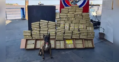 Foram quase 200 quilos de drogas, que foram apreendidas com ajuda da cadela Ísis