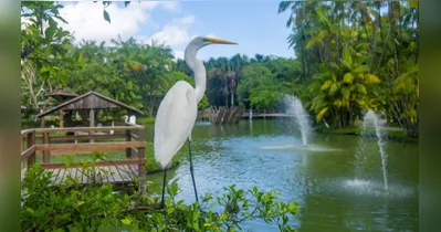 A programação especial une educação ambiental e contato com a fauna de forma lúdica.
