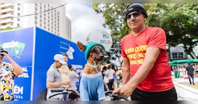 Animais precisam de atenção especial no calor.