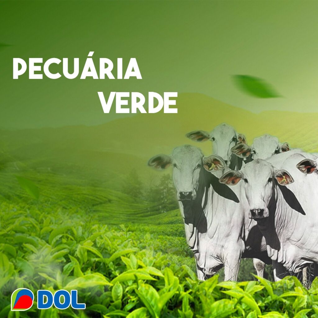 Dolcast: Banco da Amazônia e o incentivo a Pecuária Verde