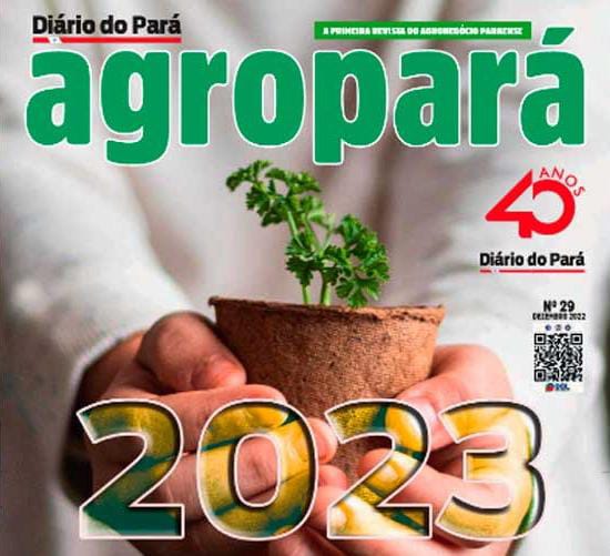 Confira as perspectivas do agronegócio paraense para 2023