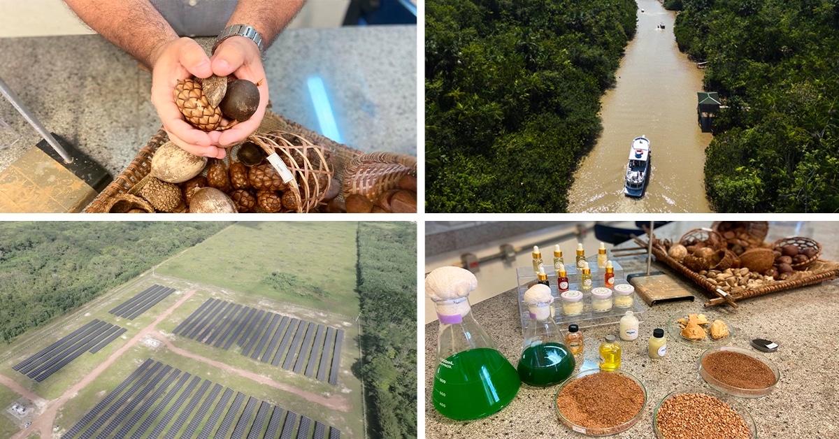Da floresta amazônica se apresentam alternativas para o combustível do futuro Da floresta amazônica se apresentam alternativas para o combustível do futuro