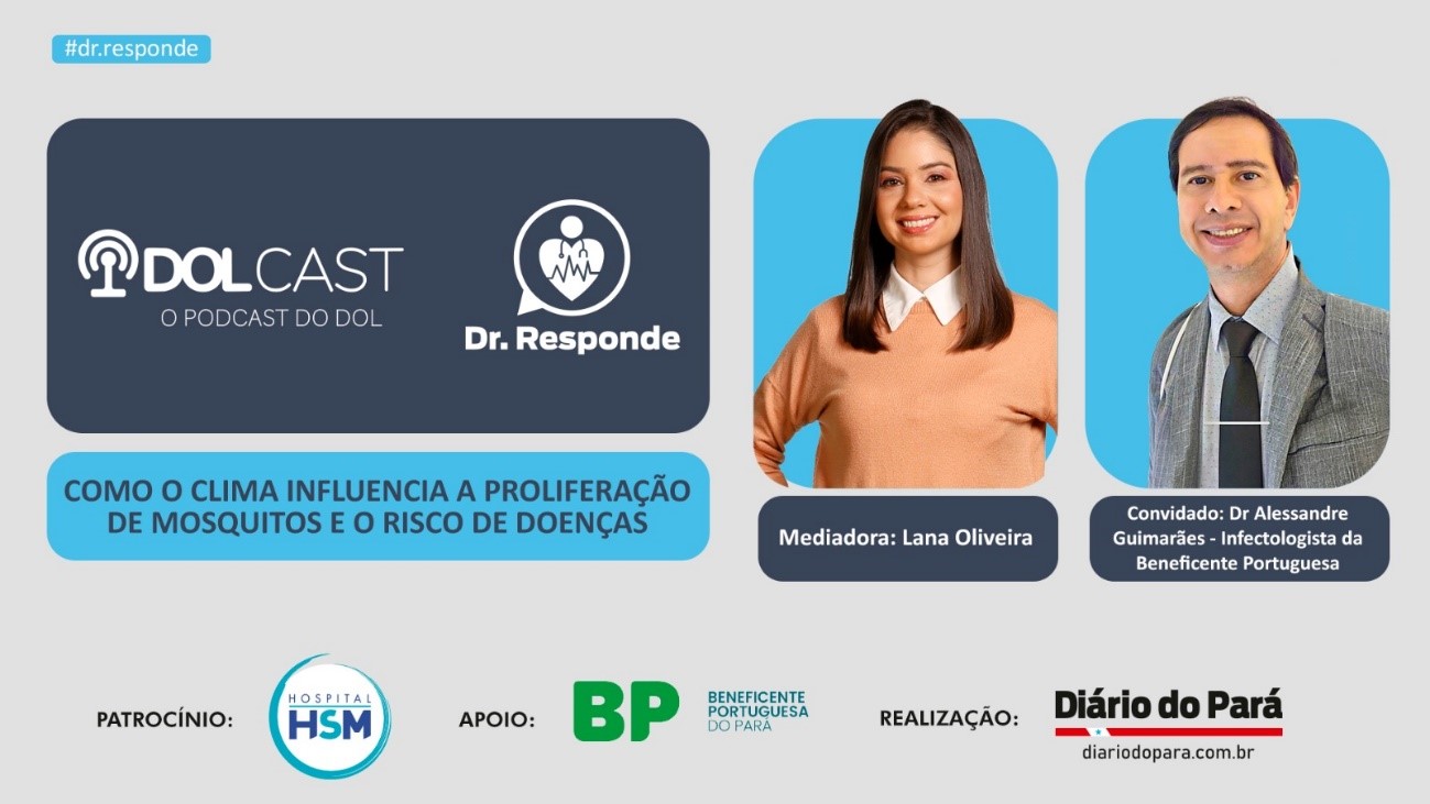 Como o clima influencia a proliferação de mosquitos e o risco de doenças