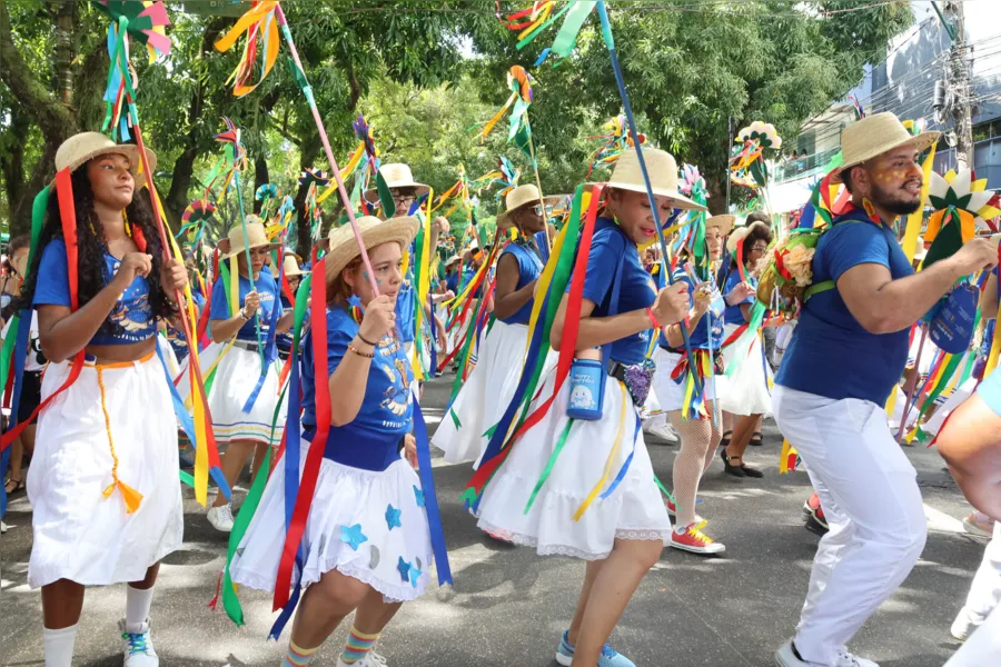 Fotos: veja imagens do terceiro arrastão do Pavulagem 2024