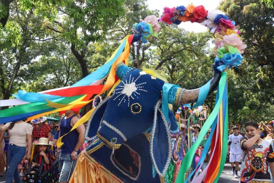 Fotos: veja imagens do terceiro arrastão do Pavulagem 2024