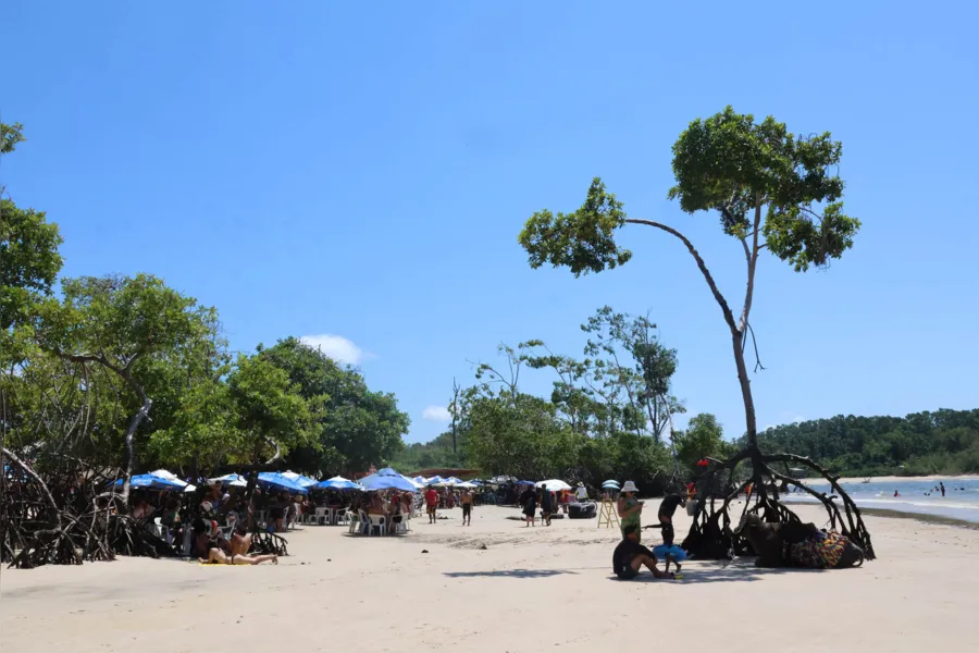 Galeria: as fotos das belezas e da movimentação de Soure