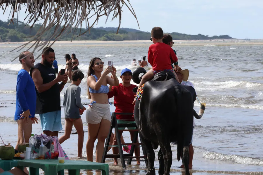 Galeria: as fotos das belezas e da movimentação de Soure