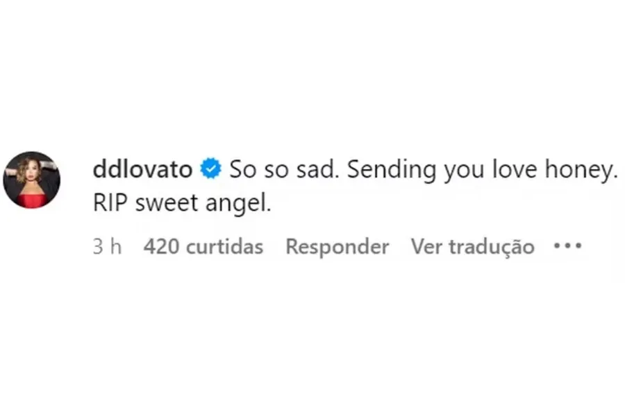 Demi Lovato se pronuncia sobre morte de lutador brasileiro