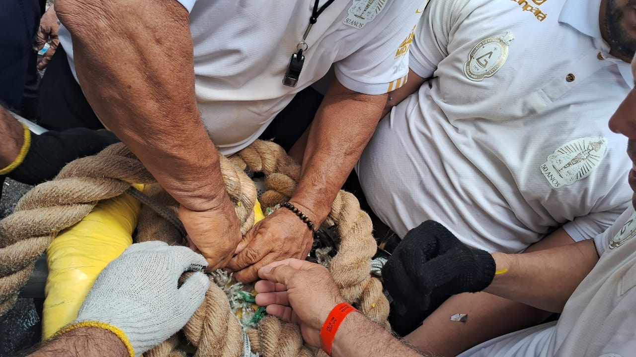 
        
        
            FOTOS: veja momentos emocionantes do Círio de Nazaré
        
    