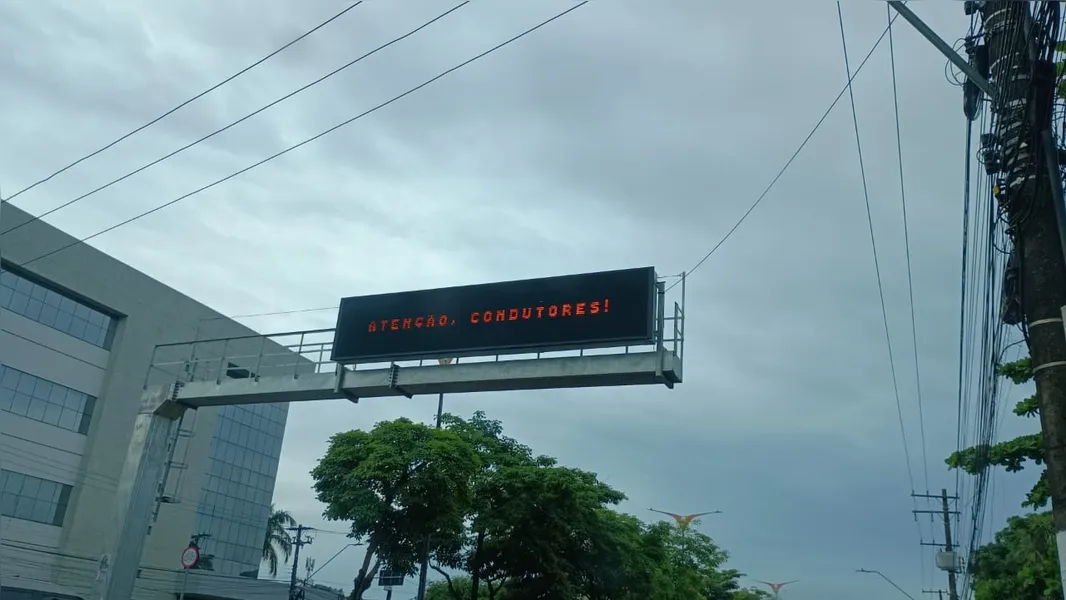 Av. José Malcher segue interditada após queda de árvore