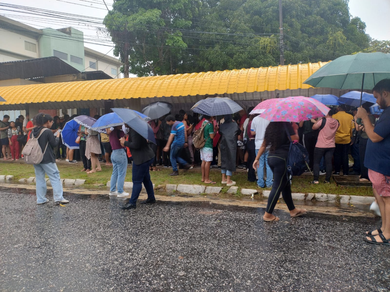 
        
        
            UFPA: veja galeria de fotos dos aprovados no vestibular 2025
        
    