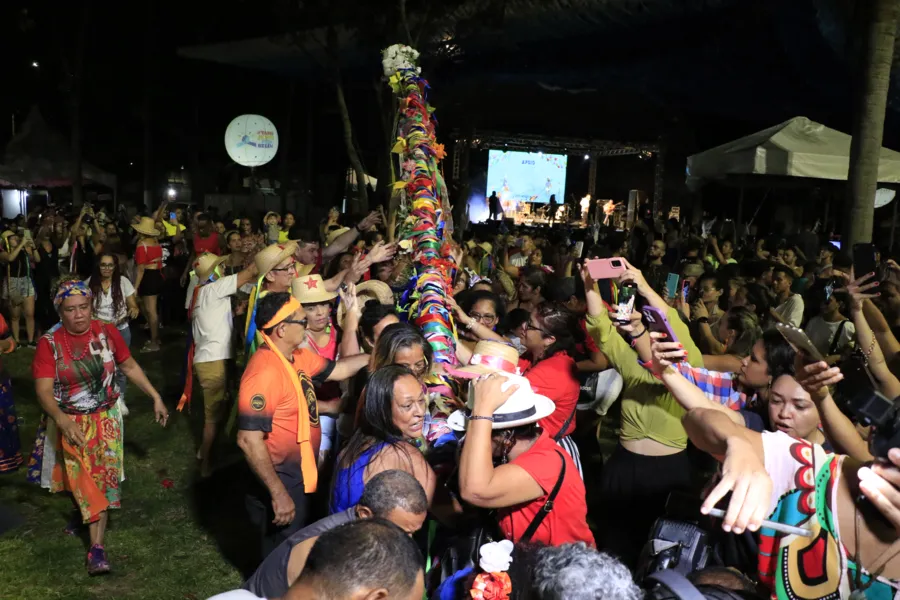 Vídeo: veja como foi a abertura do Arraial do Pavulagem 2023