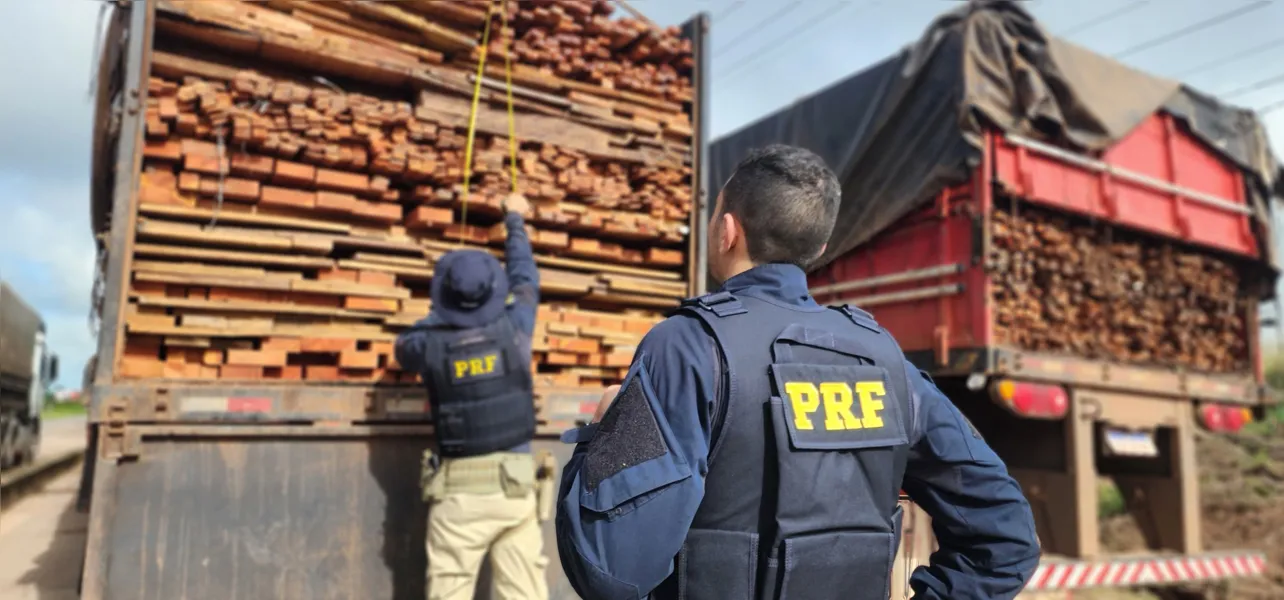 PRF apreende 196 metros cúbicos de madeira ilegal no Pará