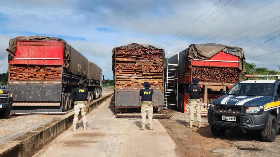PRF apreende 196 metros cúbicos de madeira ilegal no Pará