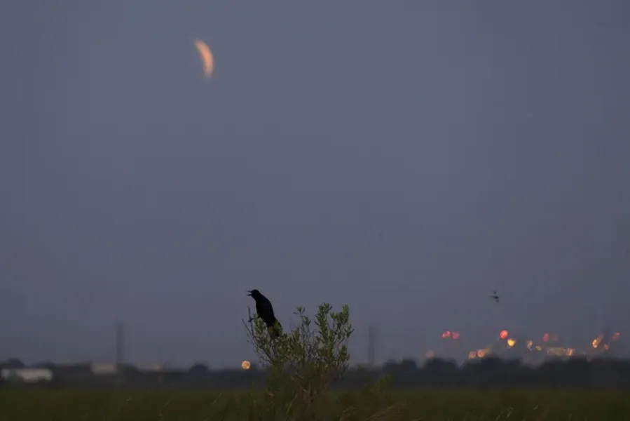 O que é Lua de Sangue? Fenômeno pode ser visto nesta madrugada