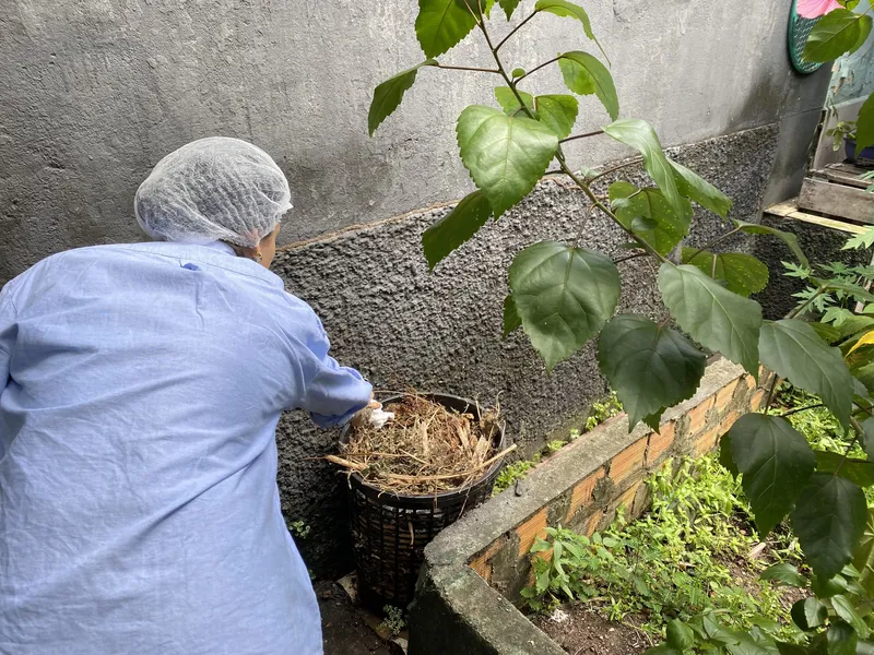 Alimentação, clima e escolhas: novos negócios miram futuro sustentável