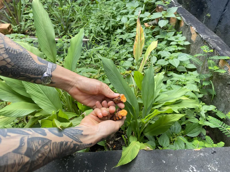 Alimentação, clima e escolhas: novos negócios miram futuro sustentável