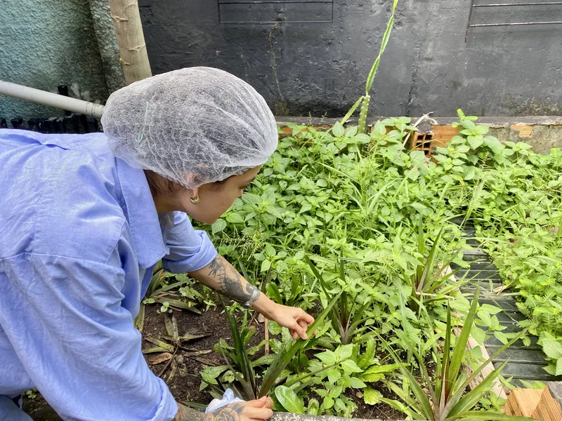 Alimentação, clima e escolhas: novos negócios miram futuro sustentável