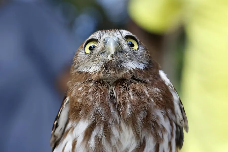 FOTOS DA EXPOSIÇÃO SUSTENTAVEL & HUMANO