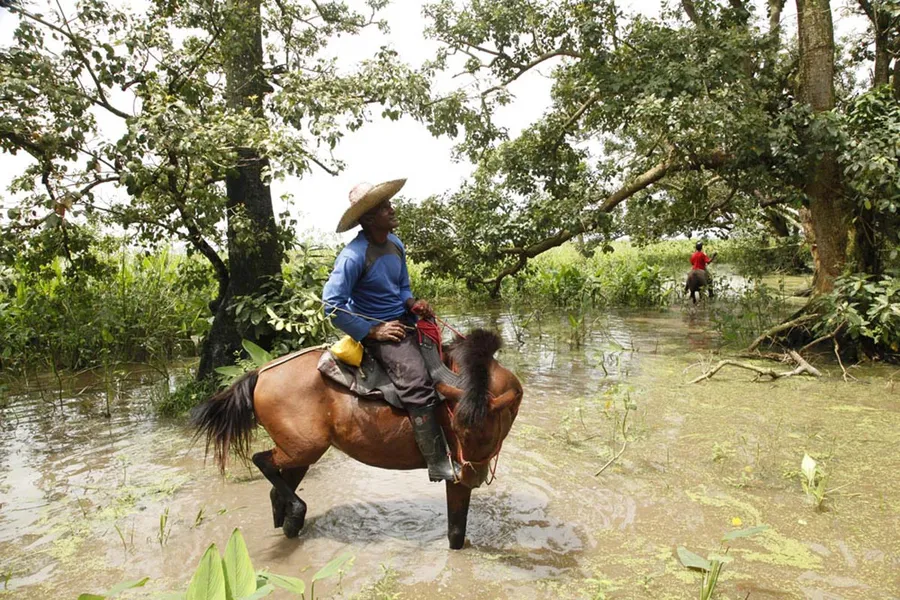 FOTOS DA EXPOSIÇÃO SUSTENTAVEL & HUMANO