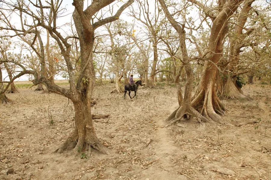 FOTOS DA EXPOSIÇÃO SUSTENTAVEL & HUMANO