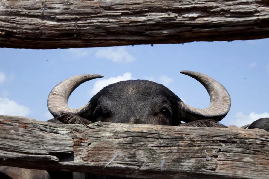 FOTOS DA EXPOSIÇÃO SUSTENTAVEL & HUMANO