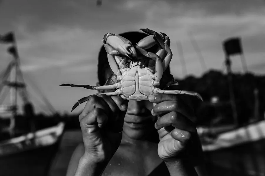 FOTOS DA EXPOSIÇÃO SUSTENTAVEL & HUMANO