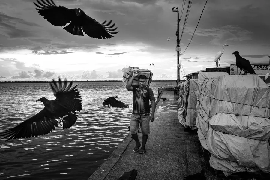 FOTOS DA EXPOSIÇÃO SUSTENTAVEL & HUMANO