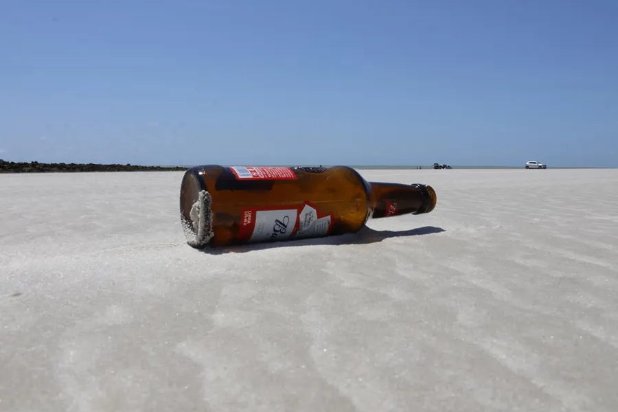 FOTOS DA EXPOSIÇÃO SUSTENTAVEL & HUMANO