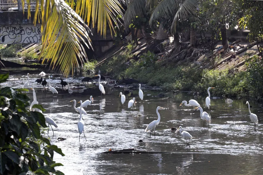 FOTOS DA EXPOSIÇÃO SUSTENTAVEL & HUMANO