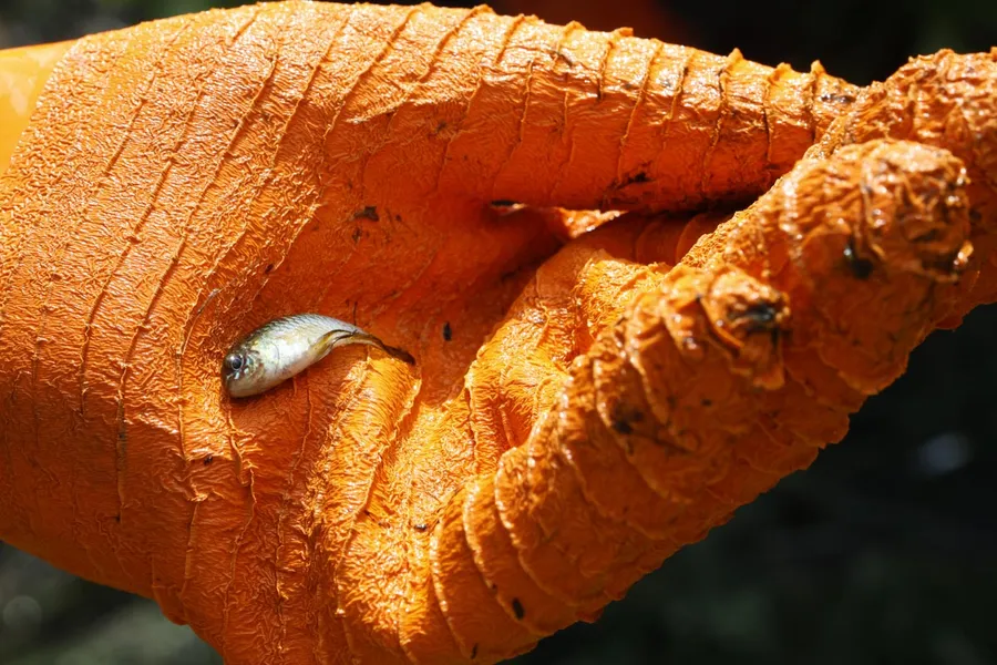 FOTOS DA EXPOSIÇÃO SUSTENTAVEL & HUMANO
