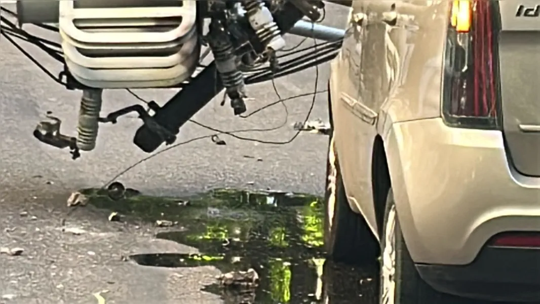 Árvore cai no bairro de Nazaré e complica trânsito de Belém