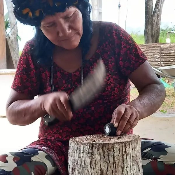 Bioeconomia indígena impulsiona a sustentabilidade na Amazônia