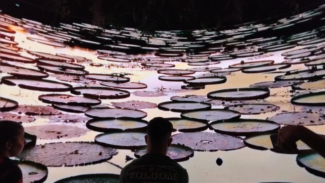 Amazônia ganha espaço no The Town com experiência imersiva